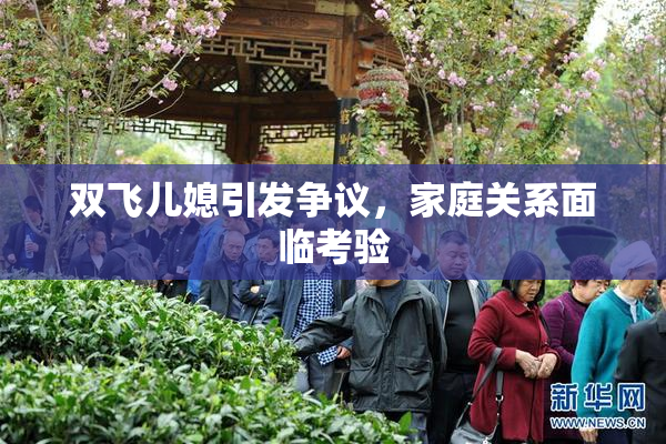 双飞儿媳引发争议，家庭关系面临考验