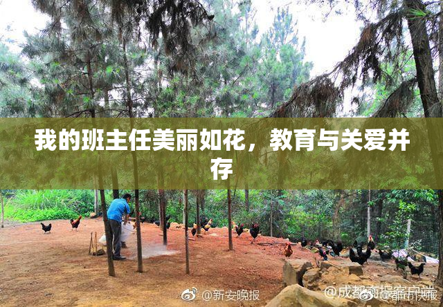 我的班主任美丽如花，教育与关爱并存
