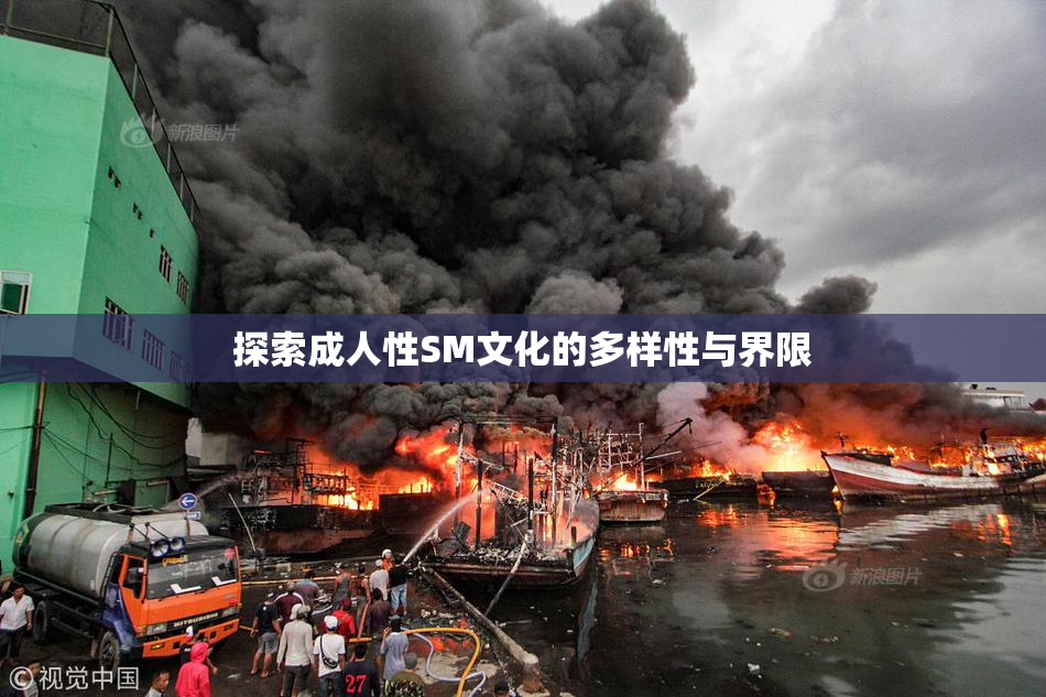 探索成人性SM文化的多样性与界限