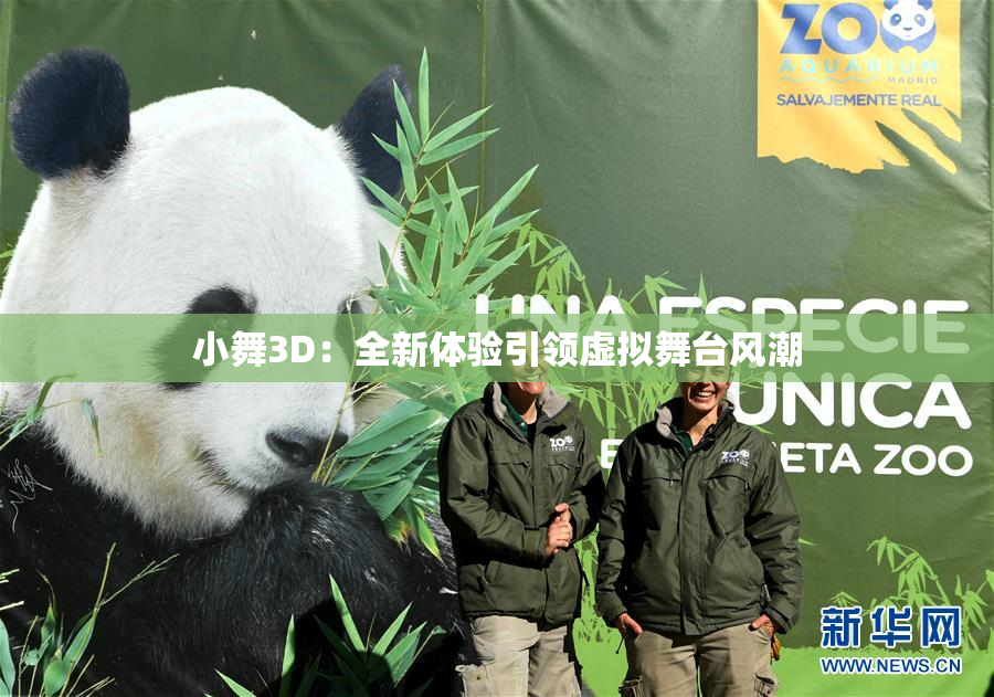 小舞3D：全新体验引领虚拟舞台风潮