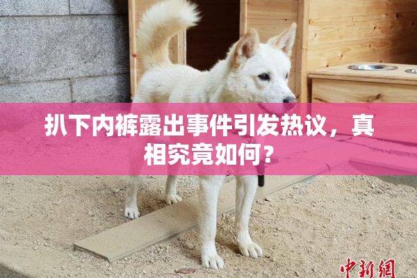扒下内裤露出事件引发热议，真相究竟如何？