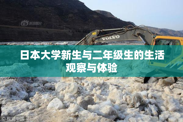 日本大学新生与二年级生的生活观察与体验