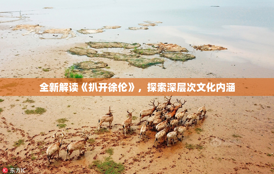 全新解读《扒开徐伦》，探索深层次文化内涵