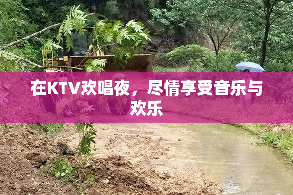 在KTV欢唱夜，尽情享受音乐与欢乐