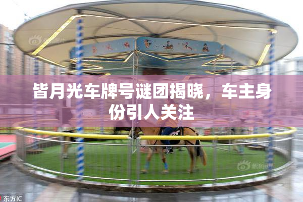 皆月光车牌号谜团揭晓，车主身份引人关注
