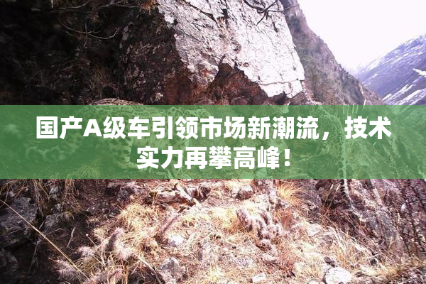 国产A级车引领市场新潮流，技术实力再攀高峰！