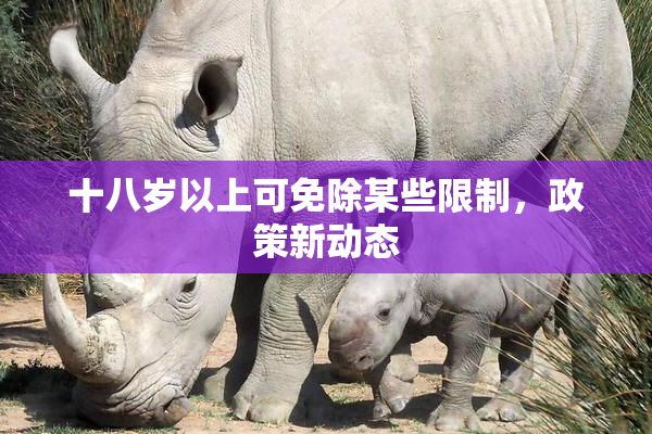 十八岁以上可免除某些限制，政策新动态
