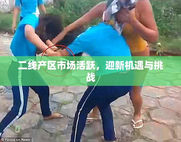 二线产区市场活跃，迎新机遇与挑战