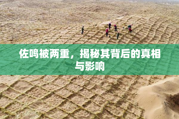佐鸣被两重，揭秘其背后的真相与影响