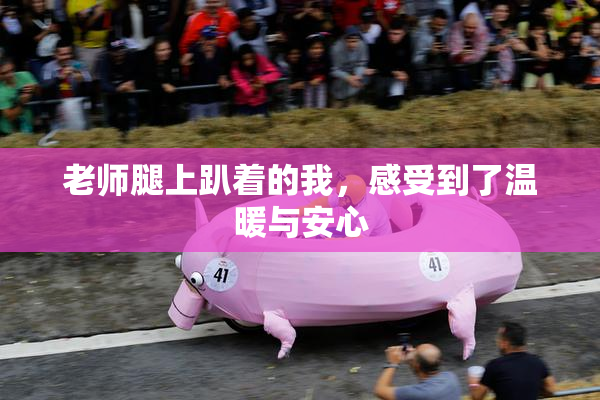 老师腿上趴着的我，感受到了温暖与安心