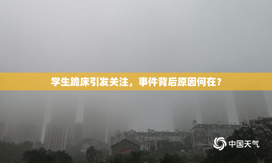 学生跪床引发关注，事件背后原因何在？