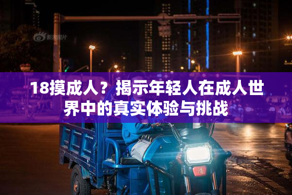 18摸成人？揭示年轻人在成人世界中的真实体验与挑战