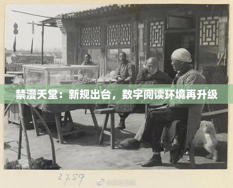 禁漫天堂：新规出台，数字阅读环境再升级