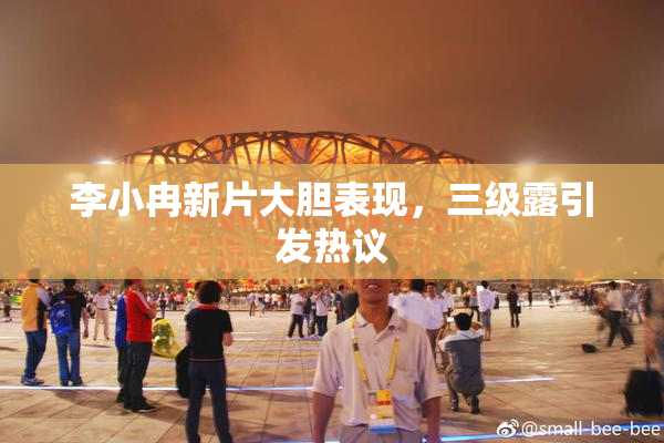 李小冉新片大胆表现，三级露引发热议