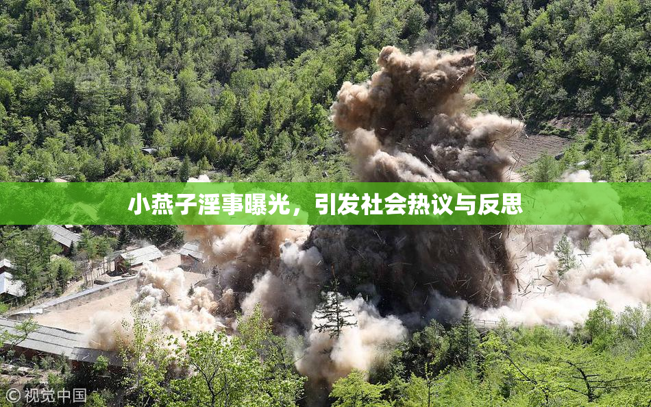 小燕子淫事曝光，引发社会热议与反思