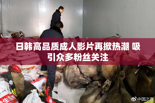 日韩高品质成人影片再掀热潮 吸引众多粉丝关注