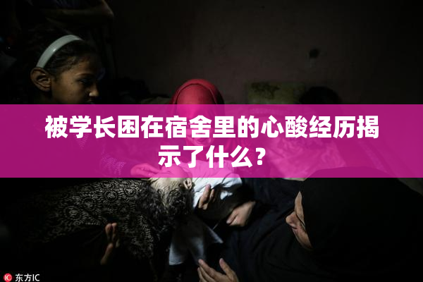 被学长困在宿舍里的心酸经历揭示了什么？