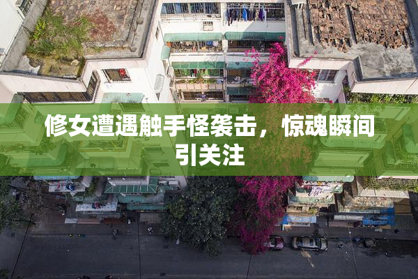 修女遭遇触手怪袭击，惊魂瞬间引关注