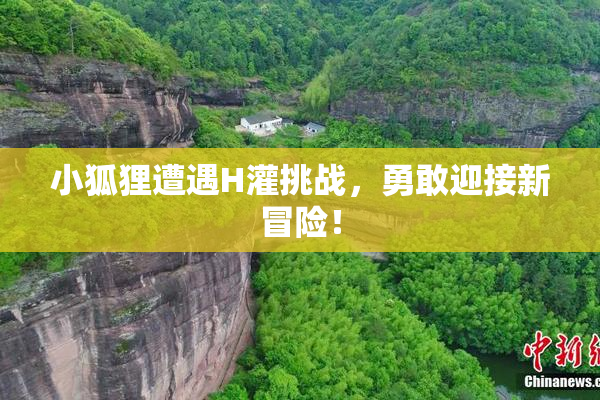小狐狸遭遇H灌挑战，勇敢迎接新冒险！