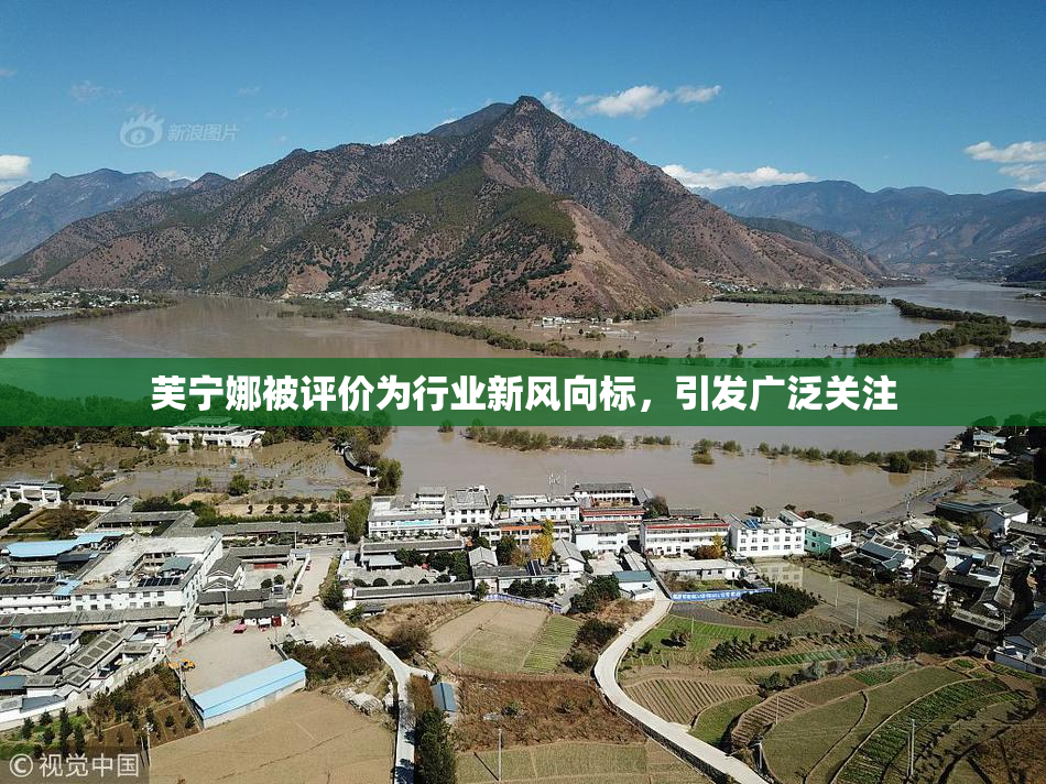 芙宁娜被评价为行业新风向标，引发广泛关注