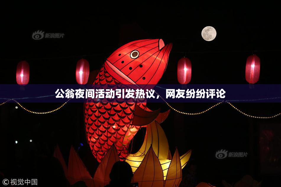 公翁夜间活动引发热议，网友纷纷评论