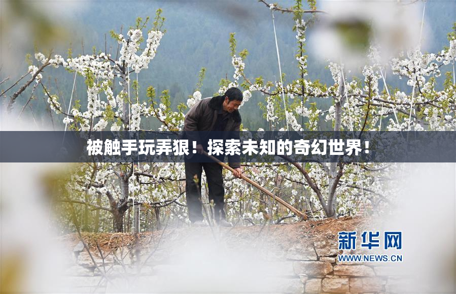 被触手玩弄狠！探索未知的奇幻世界！
