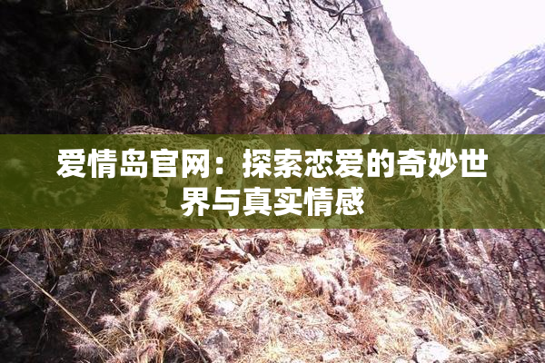 爱情岛官网：探索恋爱的奇妙世界与真实情感