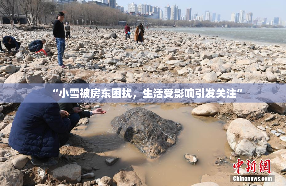 “小雪被房东困扰，生活受影响引发关注”