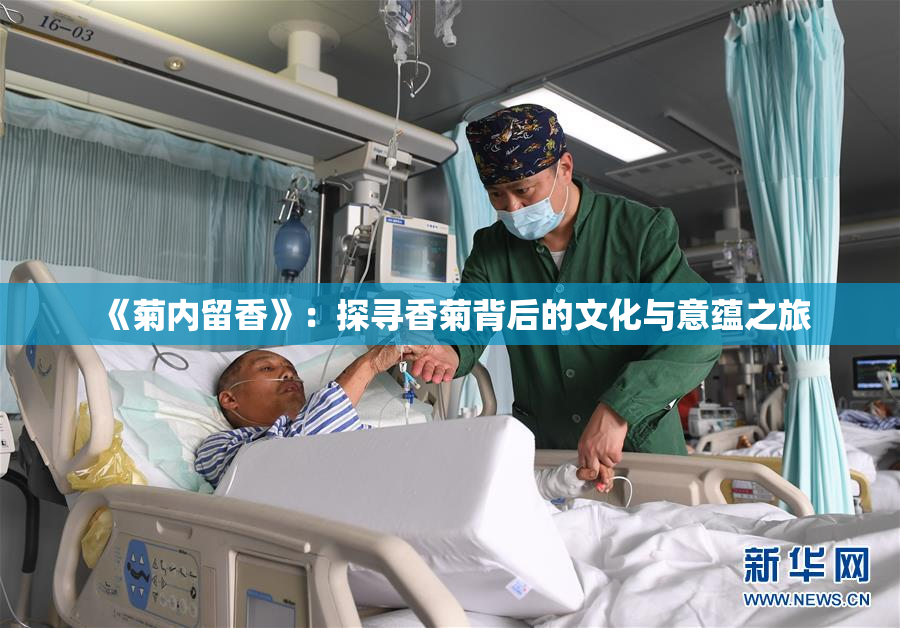 《菊内留香》：探寻香菊背后的文化与意蕴之旅