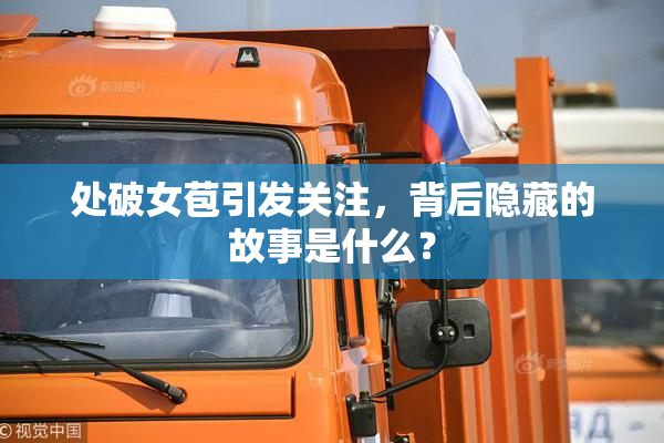 处破女苞引发关注，背后隐藏的故事是什么？