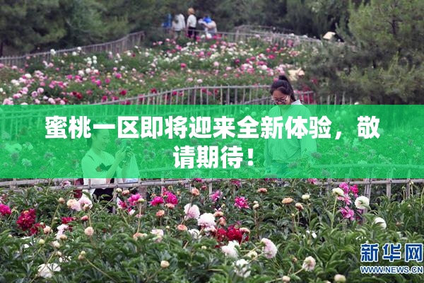 蜜桃一区即将迎来全新体验，敬请期待！