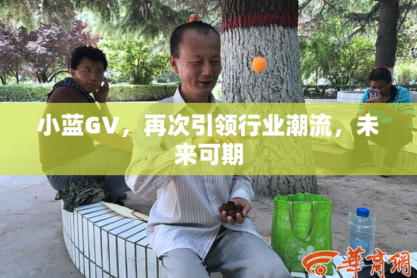 小蓝GV，再次引领行业潮流，未来可期