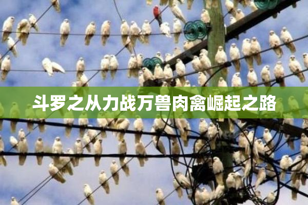 斗罗之从力战万兽肉禽崛起之路