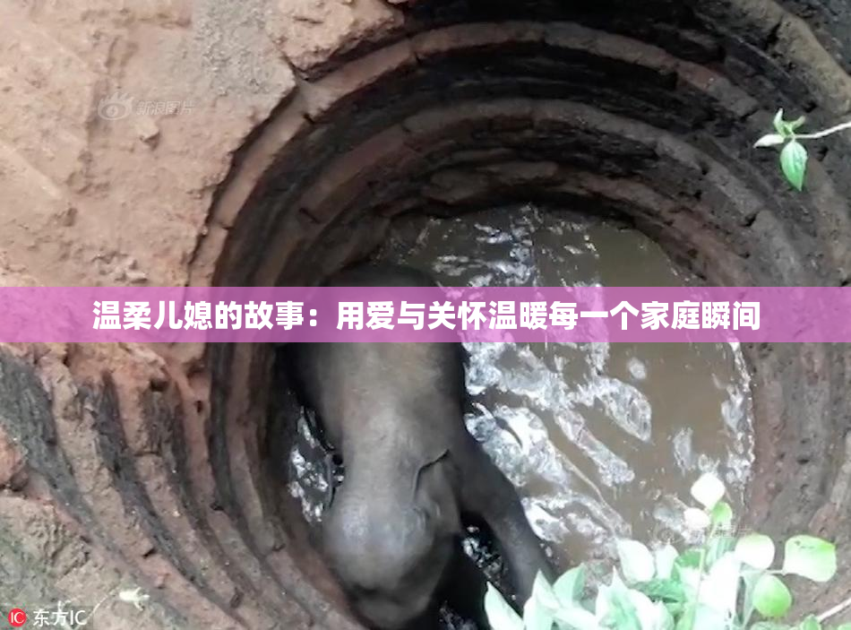 温柔儿媳的故事：用爱与关怀温暖每一个家庭瞬间