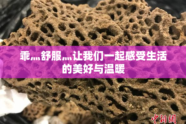 乖灬舒服灬让我们一起感受生活的美好与温暖