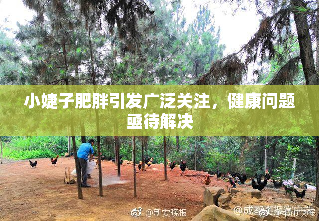 小婕子肥胖引发广泛关注，健康问题亟待解决