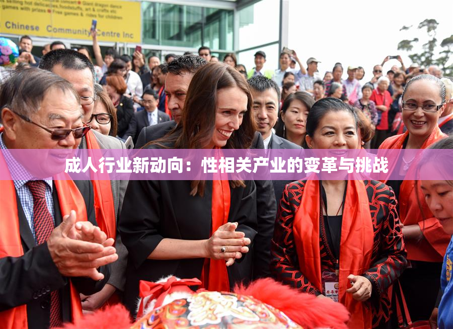 成人行业新动向：性相关产业的变革与挑战