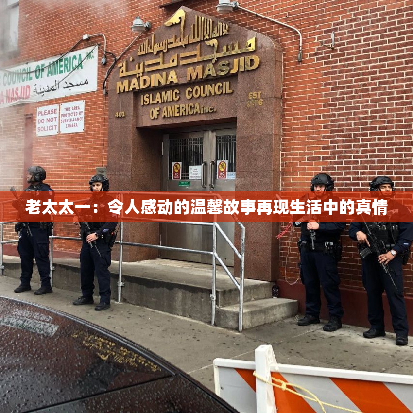 老太太一：令人感动的温馨故事再现生活中的真情