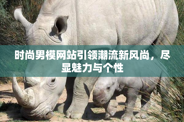时尚男模网站引领潮流新风尚，尽显魅力与个性