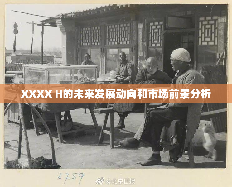 XXXX H的未来发展动向和市场前景分析