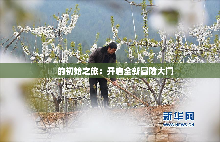 妺妺的初始之旅：开启全新冒险大门
