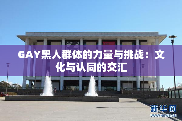 GAY黑人群体的力量与挑战：文化与认同的交汇