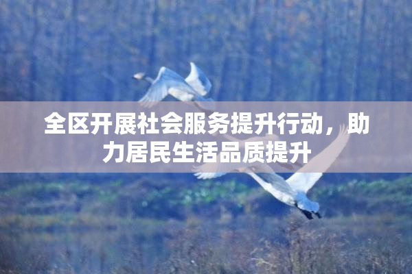 全区开展社会服务提升行动，助力居民生活品质提升