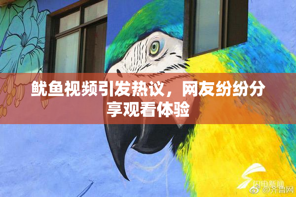 鱿鱼视频引发热议，网友纷纷分享观看体验