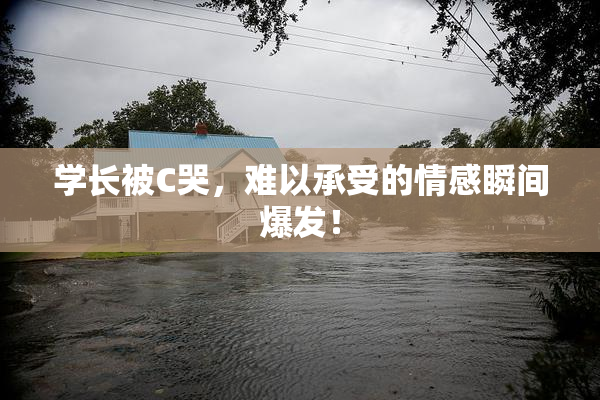 学长被C哭，难以承受的情感瞬间爆发！