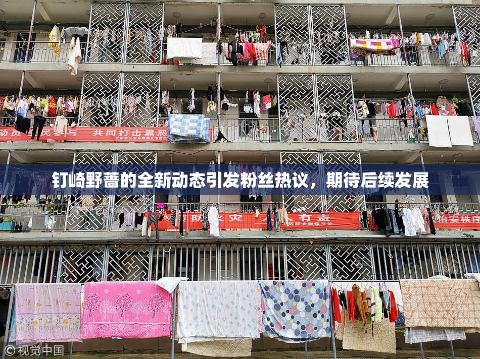 钉崎野蔷的全新动态引发粉丝热议，期待后续发展