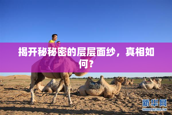 揭开秘秘密的层层面纱，真相如何？
