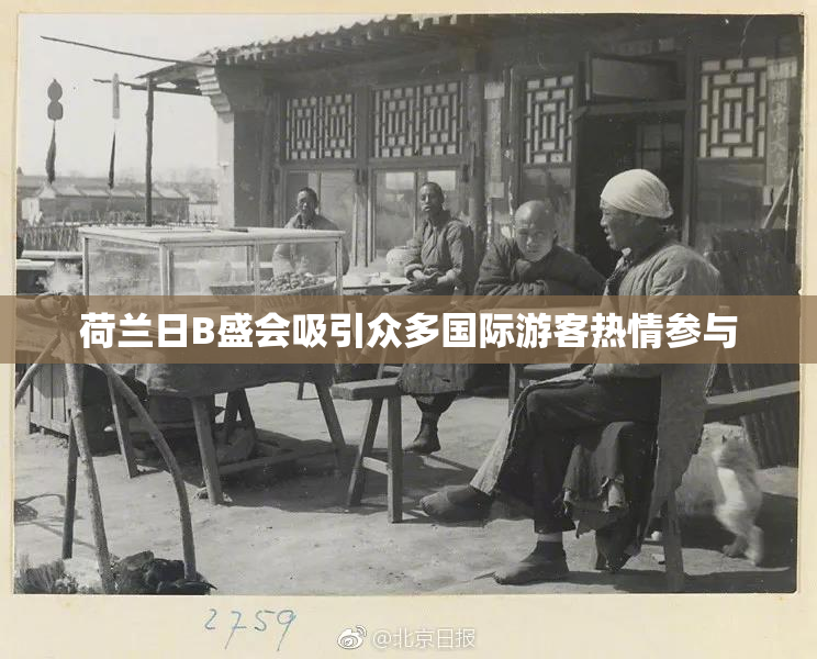 荷兰日B盛会吸引众多国际游客热情参与