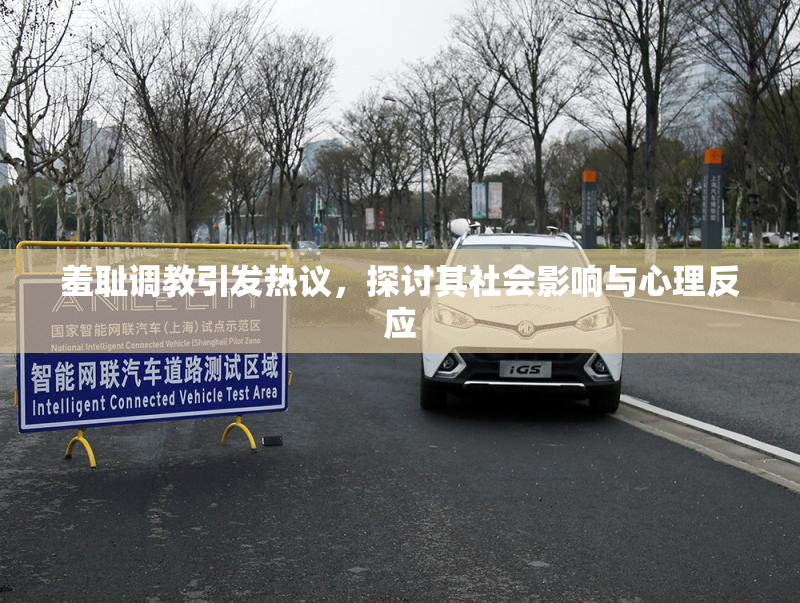 羞耻调教引发热议，探讨其社会影响与心理反应