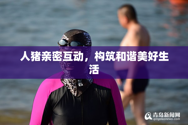 人猪亲密互动，构筑和谐美好生活
